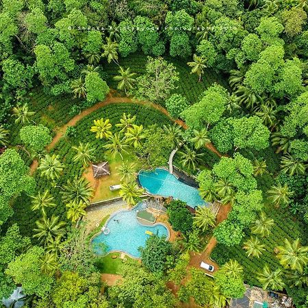 Leisure Land Bed & Breakfast Galle Ngoại thất bức ảnh