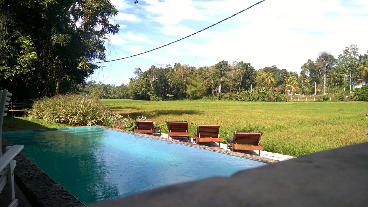 Leisure Land Bed & Breakfast Galle Ngoại thất bức ảnh